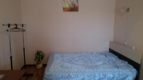 Apartment on Artyushkova 23